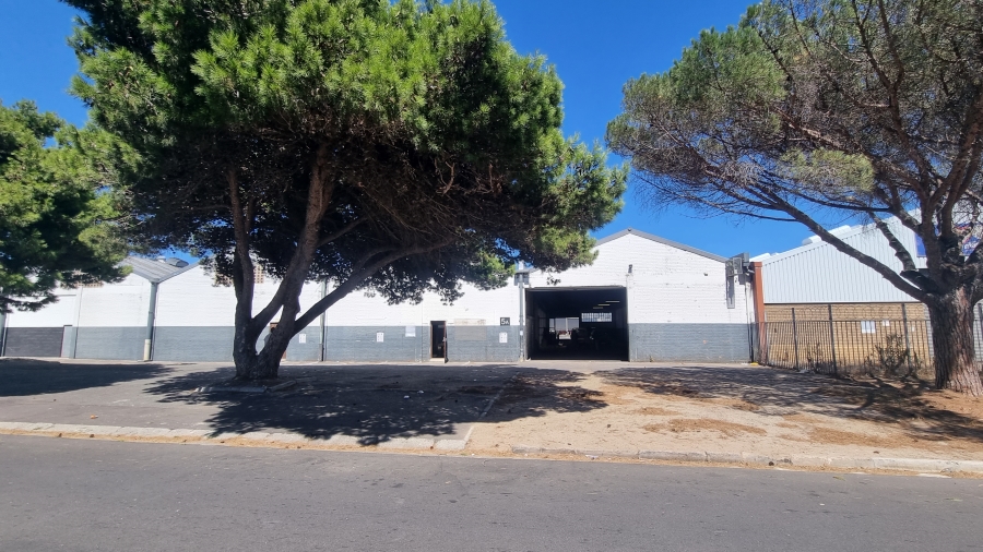 Commercial Property for Sale in Epping Industrial Western Cape